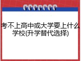 考不上高中或大学要上什么学校(升学替代选择)