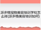 派多格宠物美容培训学校怎么样(派多格美容培训如何)