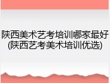 陕西美术艺考培训哪家最好(陕西艺考美术培训优选)