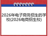 2026年电子商务招生的学校(2026电商招生校)