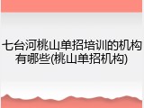 七台河桃山单招培训的机构有哪些(桃山单招机构)