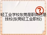 轻工业学校东莞是职高还是技校(东莞轻工业职校)
