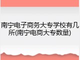 南宁电子商务大专学校有几所(南宁电商大专数量)