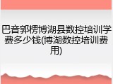 巴音郭楞博湖县数控培训学费多少钱(博湖数控培训费用)