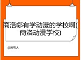 商洛哪有学动漫的学校啊(商洛动漫学校)