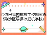 沙依巴克挖掘机学校哪家靠谱(沙区靠谱挖掘机学校)