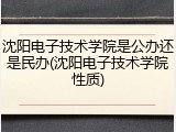 沈阳电子技术学院是公办还是民办(沈阳电子技术学院性质)