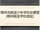 梧州市叛逆少年学校在哪里(梧州叛逆学校地址)