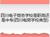 四川电子商务学校是职高还是中专(四川电商学校类型)
