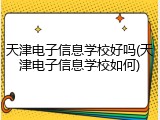 天津电子信息学校好吗(天津电子信息学校如何)