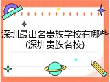 深圳最出名贵族学校有哪些(深圳贵族名校)