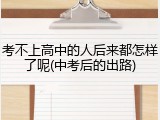 考不上高中的人后来都怎样了呢(中考后的出路)