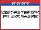 武汉商务英语学校电商怎么样啊(武汉电商英语学校)