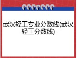 武汉轻工专业分数线(武汉轻工分数线)