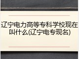 辽宁电力高等专科学校现在叫什么(辽宁电专现名)
