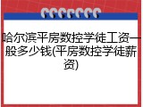 哈尔滨平房数控学徒工资一般多少钱(平房数控学徒薪资)