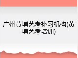 广州黄埔艺考补习机构(黄埔艺考培训)