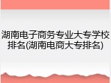 湖南电子商务专业大专学校排名(湖南电商大专排名)