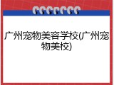 广州宠物美容学校(广州宠物美校)