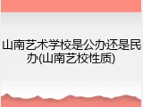 山南艺术学校是公办还是民办(山南艺校性质)