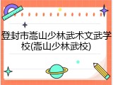 登封市嵩山少林武术文武学校(嵩山少林武校)