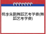 桃李朱鹮舞蹈艺考学费(舞蹈艺考学费)