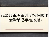武隆县单招集训学校在哪里(武隆单招学校地址)