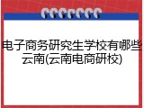电子商务研究生学校有哪些云南(云南电商研校)