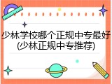 少林学校哪个正规中专最好(少林正规中专推荐)