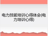 电力技能培训心得体会(电力培训心得)