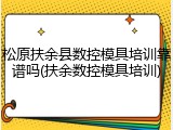 松原扶余县数控模具培训靠谱吗(扶余数控模具培训)