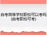 自考高等学校职校可以考吗(自考职校可考)