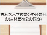 吉林艺术学校是公办还是民办(吉林艺校公办民办)