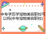 中专学历学宠物美容职校可以吗(中专宠物美容职校)