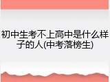 初中生考不上高中是什么样子的人(中考落榜生)