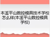 本溪平山数控模具技术学校怎么样(本溪平山数控模具学校)