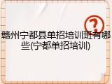 赣州宁都县单招培训班有哪些(宁都单招培训)