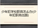 少年犯学校职高怎么办(少年犯职高出路)