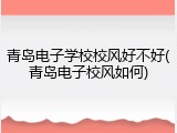 青岛电子学校校风好不好(青岛电子校风如何)