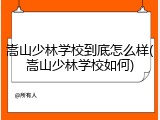 嵩山少林学校到底怎么样(嵩山少林学校如何)