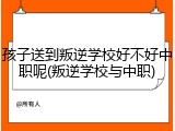孩子送到叛逆学校好不好中职呢(叛逆学校与中职)