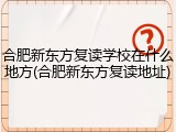 合肥新东方复读学校在什么地方(合肥新东方复读地址)