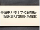 贵阳电力技工学校职高招生简章(贵阳电校职高招生)
