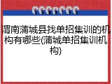渭南蒲城县找单招集训的机构有哪些(蒲城单招集训机构)