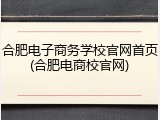 合肥电子商务学校官网首页(合肥电商校官网)
