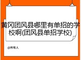 黄冈团风县哪里有单招的学校啊(团风县单招学校)