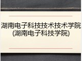 湖南电子科技技术技术学院(湖南电子科技学院)