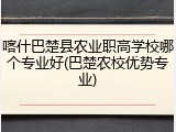喀什巴楚县农业职高学校哪个专业好(巴楚农校优势专业)