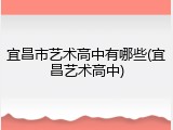 宜昌市艺术高中有哪些(宜昌艺术高中)