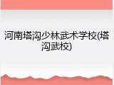 河南塔沟少林武术学校(塔沟武校)